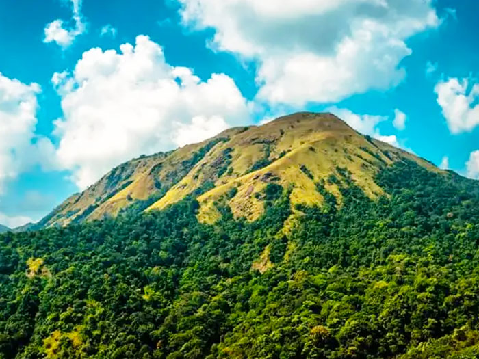 Kudremukh National Park