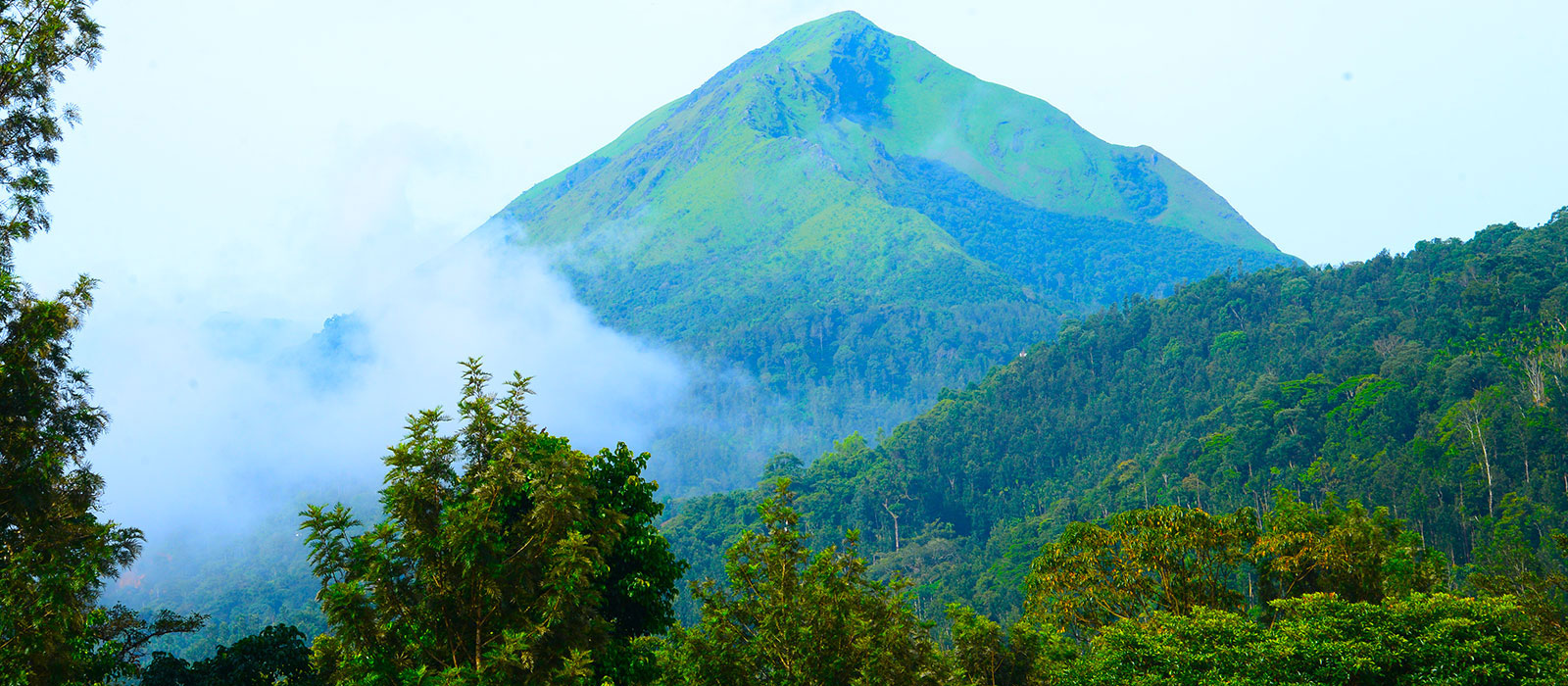 Misty Peaks